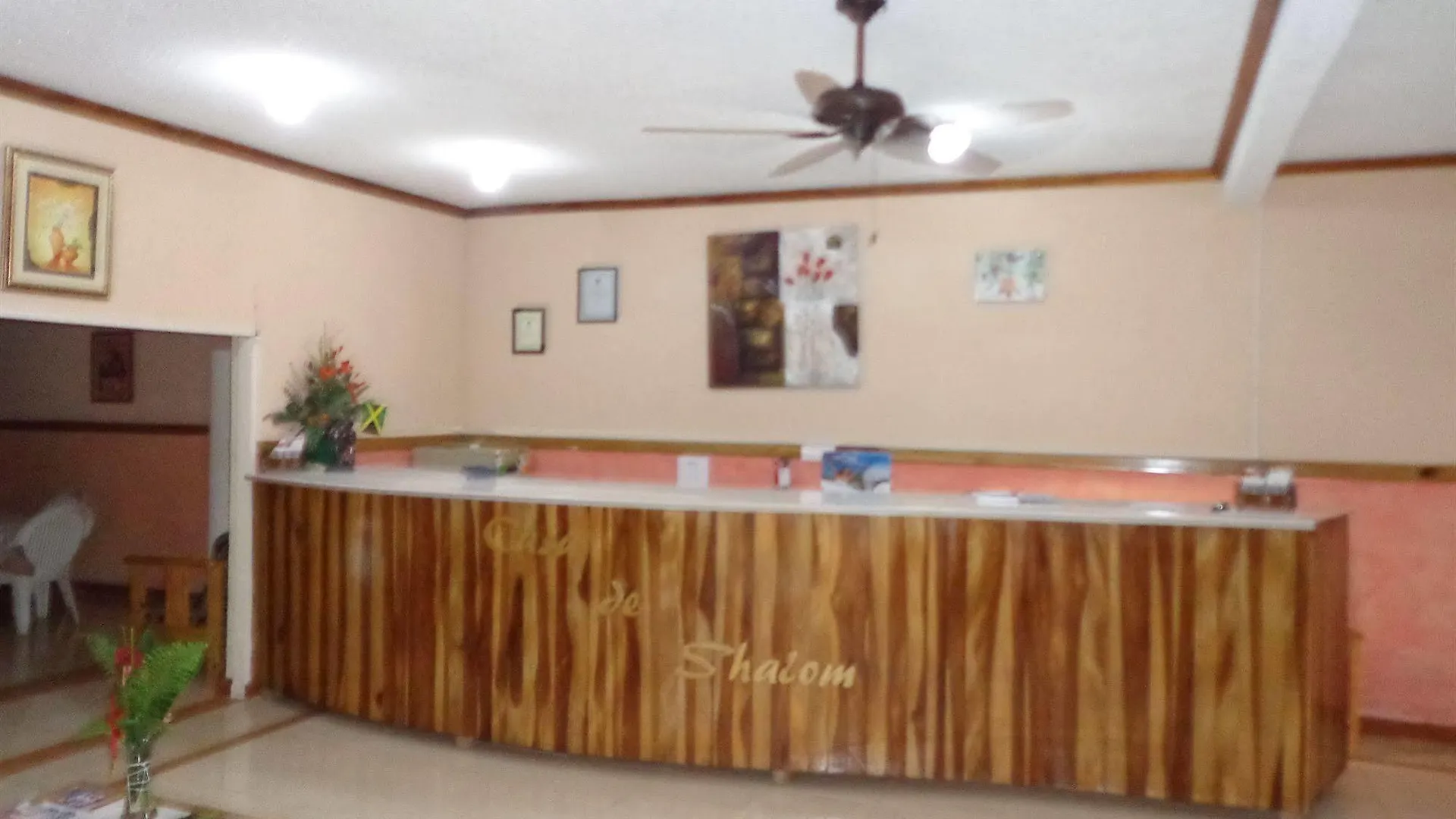 Casa De Shalom Hotel Ocho Rios 3*,