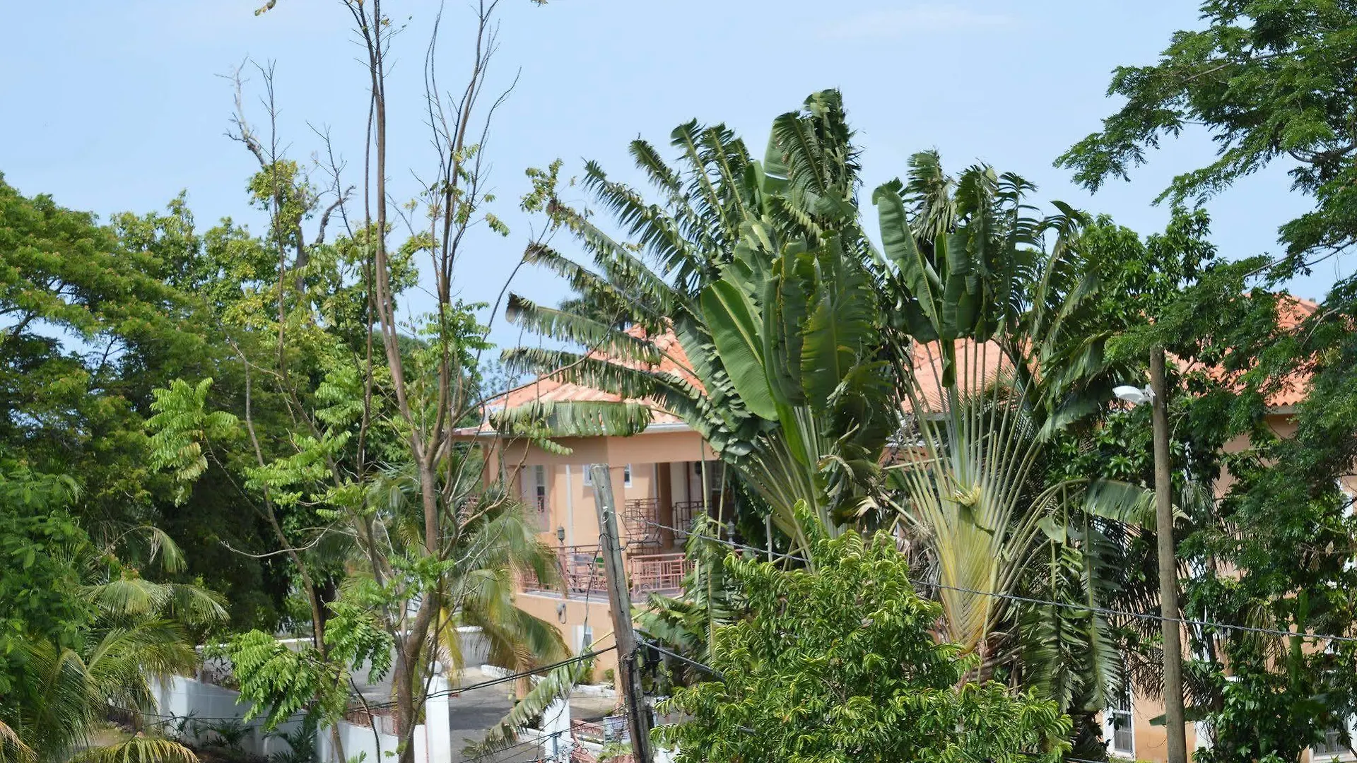 Casa De Shalom Hotel Ocho Rios 3*,  Jamaica